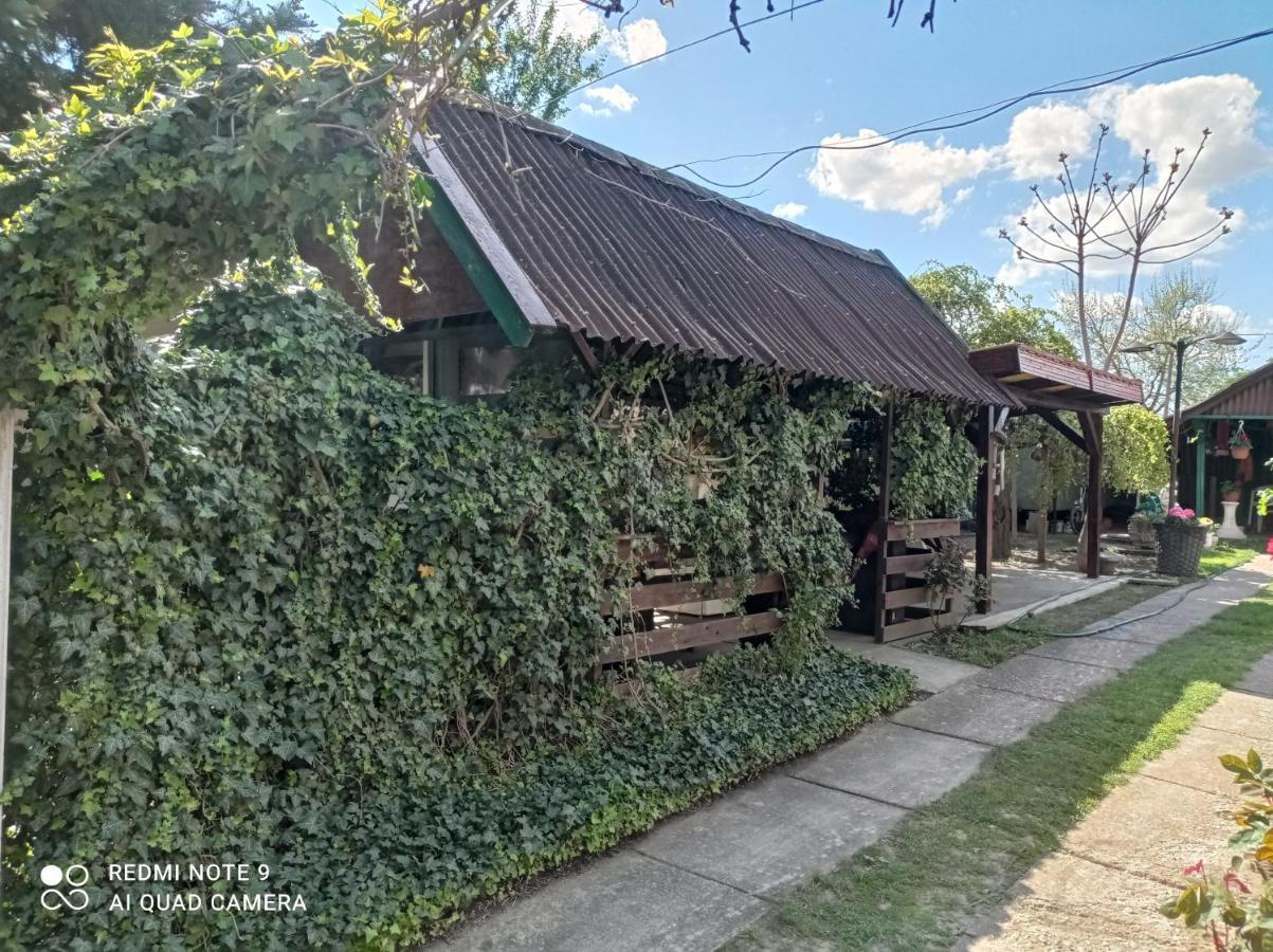 Olga Vendeghaz Apartment Abádszalók Екстериор снимка