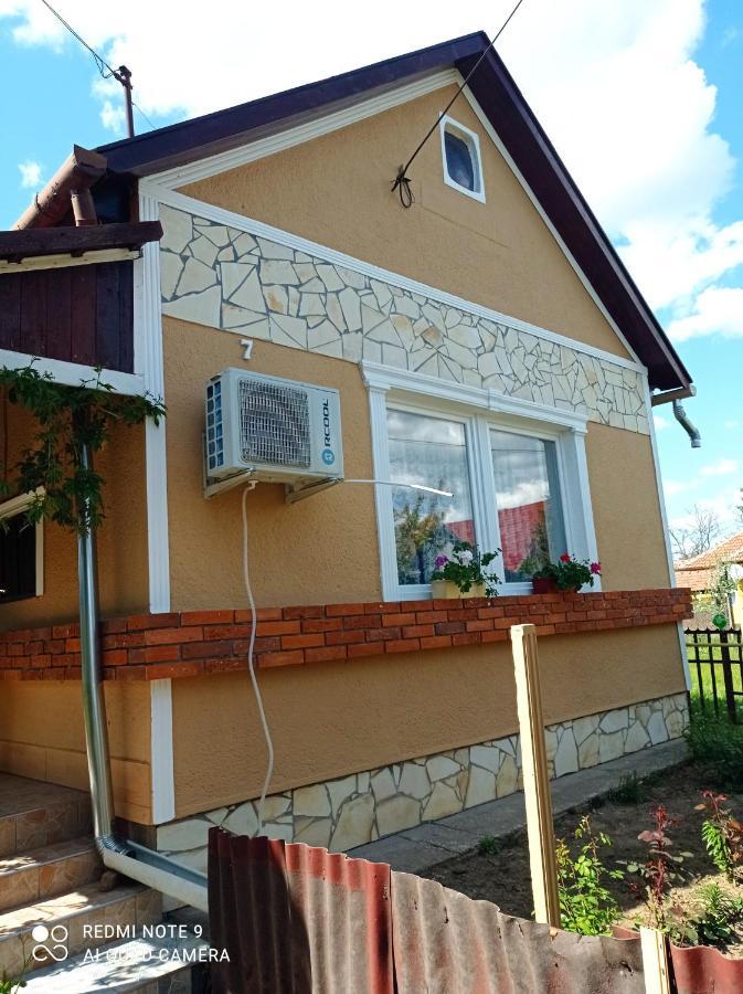 Olga Vendeghaz Apartment Abádszalók Екстериор снимка