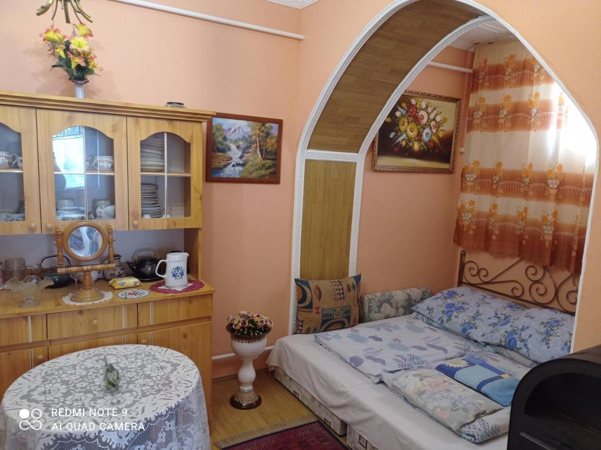 Olga Vendeghaz Apartment Abádszalók Екстериор снимка